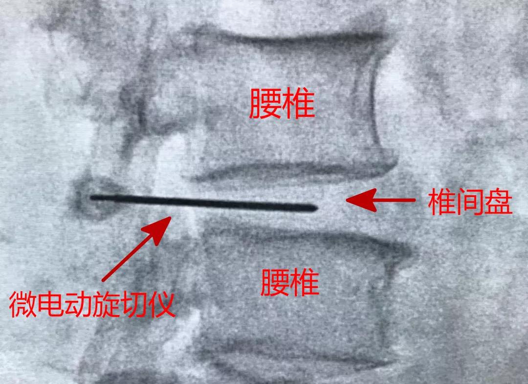 微信圖片_20181015102525.jpg