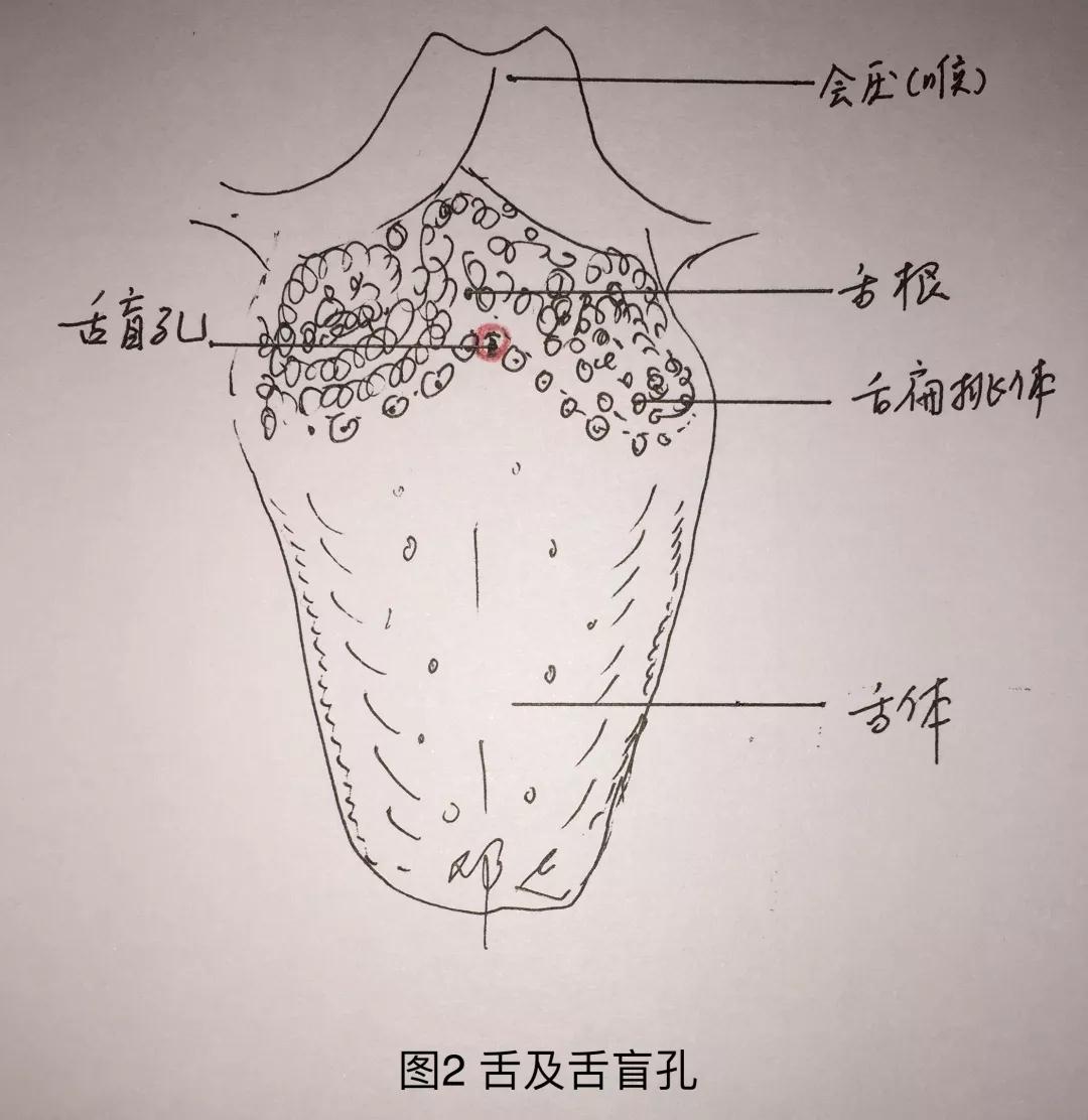 微信圖片_20190711105225.jpg