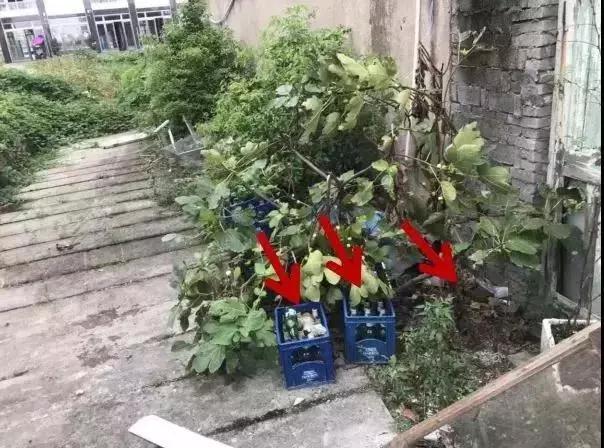 微信圖片_20190916144443.jpg