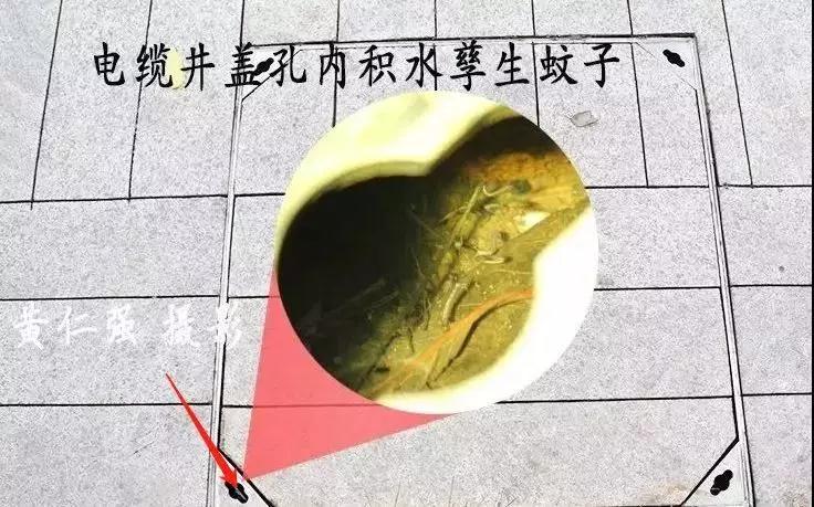 微信圖片_20190916144533.jpg